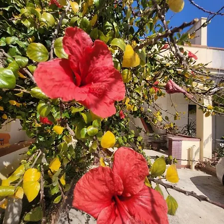 Casa Vacanze Triscina Apartment *