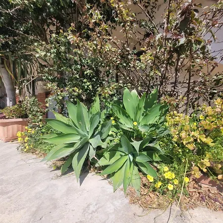 Casa Vacanze Triscina Apartment